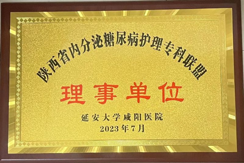陜西省內(nèi)分泌糖尿病護理?？坡?lián)盟理事單位