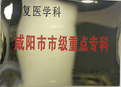 康復(fù)醫(yī)學(xué)科咸陽市市級(jí)重點(diǎn)?？?><div   id=